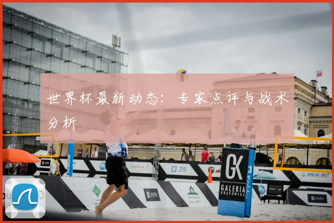 世界杯最新动态：专家点评与战术分析
