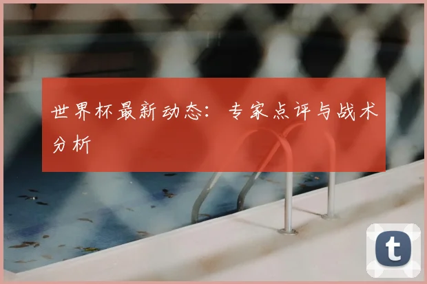 世界杯最新动态:专家点评与战术分析